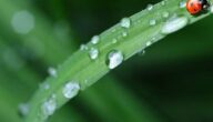 Ursachen des Zweiten Weltkriegs Ursachen des Zweiten Weltkriegs