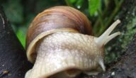 Ursachen für plötzliches Weinen Ursachen für plötzliches Schwitzen