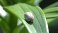 Ursachen für trockene Haut Ursachen für trockene Haut