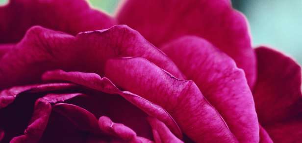 Widerstandsübungen ohne Gewichte Widerstandsübungen ohne Gewichte