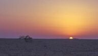 Wie viel kostet das Land Bahrain Wie viel kostet das Land Bahrain