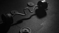 Wie viele Kalorien braucht ein Bodybuilder Wie viele Kalorien braucht ein Bodybuilder