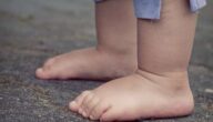 Wie viele Schichten menschlicher Haut Wie viele Schichten menschlicher Haut