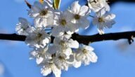 Wo befindet sich das Messenger-Archiv Wo befindet sich das Messenger-Archiv