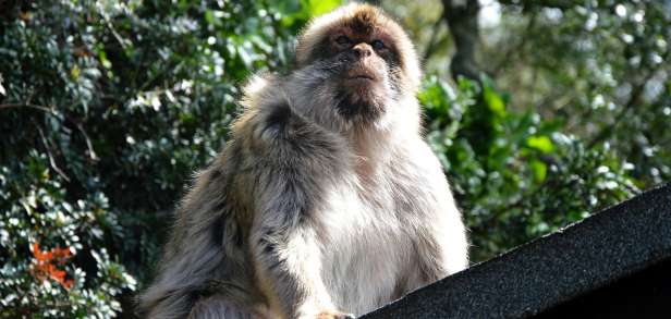 Wo befindet sich die Straße von Gibraltar Wo befindet sich die Straße von Gibraltar
