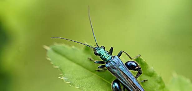Übungen zum Abnehmen der Oberschenkel Übungen zum Abnehmen der Oberschenkel