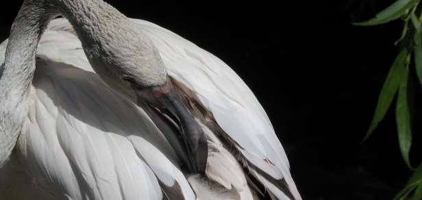 Übungen zum Begradigen des Rückens Übungen zum Begradigen des Rückens