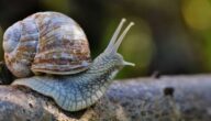 Lösen des Problems des langsamen Computers Windows 10 Lösen des Problems des langsamen Computers Windows 10
