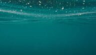 Was ist die Verwendung von Rosenwasser Was ist die Verwendung von Rosenwasser