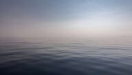 Was ist die Verwendung von Rosenwasser Was ist die Verwendung von Rosenwasser