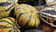 Was ist Halloween Was ist Halloween