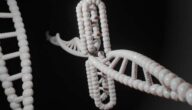 Was ist mit genetischem Code gemeint Was ist mit genetischem Code gemeint