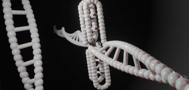 Was ist mit genetischem Code gemeint Was ist mit genetischem Code gemeint