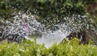 Was sind die Vorteile von Gießwasser Was sind die Vorteile von Gießwasser
