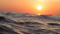 Was sind die Vorteile von Rosenwasser für das Gesicht Was sind die Vorteile von Rosenwasser für das Gesicht