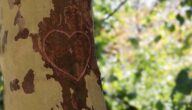 Anzeichen dafür, dass Sie in einer toxischen Beziehung sind Anzeichen dafür, dass Sie in einer toxischen Beziehung sind