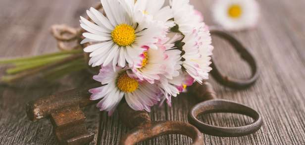 Das beste Mittel gegen weiße Kleie Das beste Mittel gegen weiße Kleie