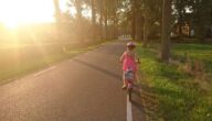 Das Konzept der Verkehrssicherheit und seine Bedeutung Das Konzept der Verkehrssicherheit und seine Bedeutung