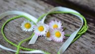 Die Bedeutung der Freundschaft Die Bedeutung der Freundschaft