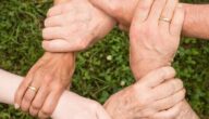 Die Vorteile der Zusammenarbeit zwischen Menschen Die Vorteile der Zusammenarbeit zwischen Menschen