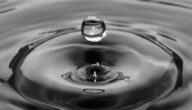 Die Vorteile des Trinkens von Rosenwasser mit Wasser Die Vorteile des Trinkens von Rosenwasser mit Wasser