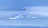 Die Vorteile und Nachteile des Trinkens von Rosenwasser Die Vorteile und Nachteile des Trinkens von Rosenwasser
