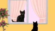 Die Vorteile von Empathie für andere Die Vorteile von Empathie für andere