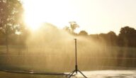 Die Vorteile von Gießwasser für die Haare Die Vorteile von Gießwasser für die Haare