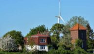 Die Vorteile von kommunaler Hefe Die Vorteile der kommunalen Rose