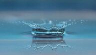 Die Vorteile von Rosenwasser für den Körper Die Vorteile von Rosenwasser für den Körper