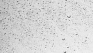 Die Vorteile von Rosenwasser für fettige Haut Hefe- und Rosenwassermaske