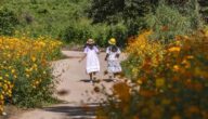 Forschung zu Kinderrechten Forschung zu Kinderrechten