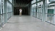 Forschung zur Abwesenheit von Studenten Forschung zur Abwesenheit von Studenten