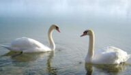 Gründe für das Glück Gründe für das Glück