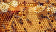 Klug, sich vom Rauchen fernzuhalten Klug, sich vom Rauchen fernzuhalten