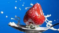 Lieber schnell essen! Warum Erdbeeren nicht zu lange im Kühlschrank sein sollten Fitness-Fun: Rundum-Fit-Pakete absahnen!