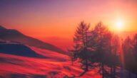 Mountainbike Trails: Mit dem Rad durch die Highlands Mountainbike Trails: Mit dem Rad durch die Highlands