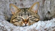 NY-Marathon: So geht SIghtseeing in 4 Stunden NY-Marathon: So geht SIghtseeing in 4 Stunden