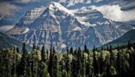 Outdoor-Paket: Cool Runnings Outdoor-Paket: Cool Runnings