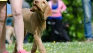 Personal Training: Last Minute Sommerfit Personal Training: Last Minute Sommerfit
