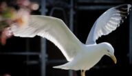 Respekt vor der Freiheit anderer Respekt vor der Freiheit anderer