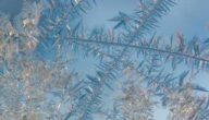 Schnee-Fitness: Wintersportarten im Test Wintersport: Es geht auch anders