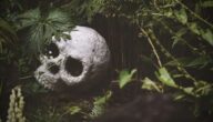 Survival: Acht geniale Überlebenstricks Survival: Acht geniale Überlebenstricks