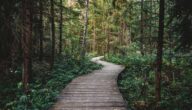 Trekking-Touren: Weitere Mehrtagestouren Trekking-Touren: Weitere Mehrtagestouren