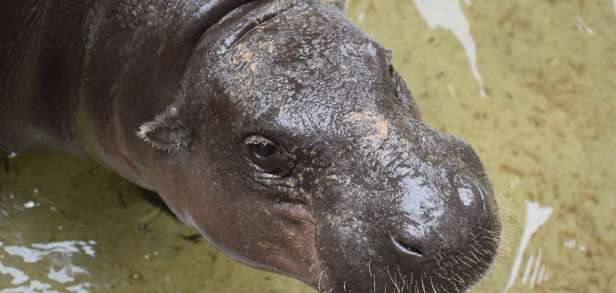 Ursachen der Jugendabweichung Ursachen der Jugendabweichung