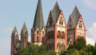 Ursachen der sozialen Phobie Probleme, mit denen junge Menschen an der Universität konfrontiert sind