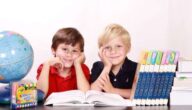 Ursachen von Gewalt bei Kindern Intelligenztests für Kinder