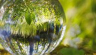 Vor- und Nachteile der Globalisierung Vor- und Nachteile der Globalisierung
