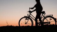Vor- und Nachteile des Transports Vor- und Nachteile des Transports