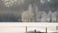 Wintersport: Mit gutem Gewissen zum Wintersport: Das kannst du tun! Wintersport: Mit gutem Gewissen zum Wintersport: Das kannst du tun!